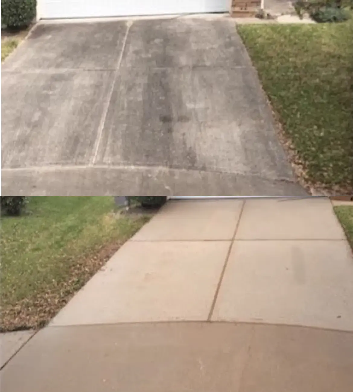 enter img alt