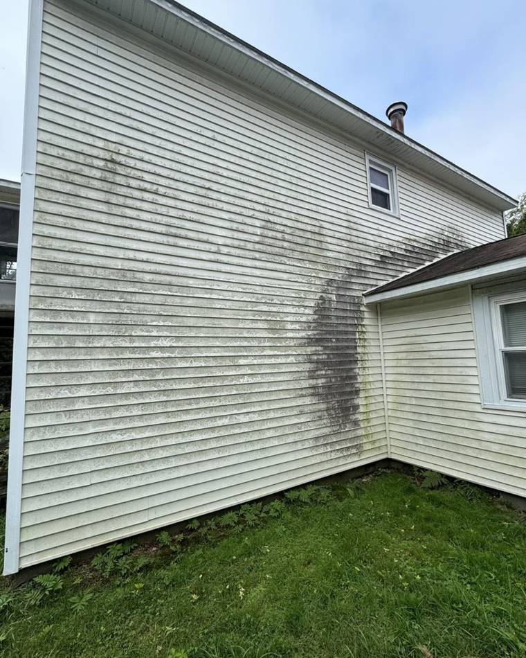 House siding before soft wash
