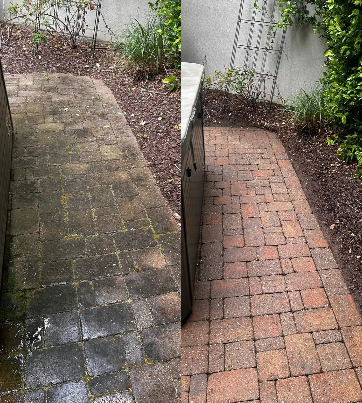 Raleigh walkway before and after pressure washing