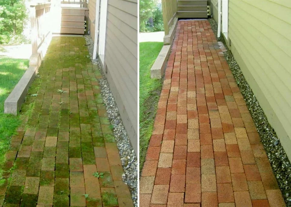 Moss-covered pavers before cleaning on the left and clean pavers on the right